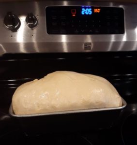 Spelt Flour Dough Risen and ready to bake